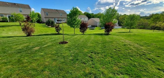 Photo that the seller took of his yard this summer, so much room to roam! | Image 42