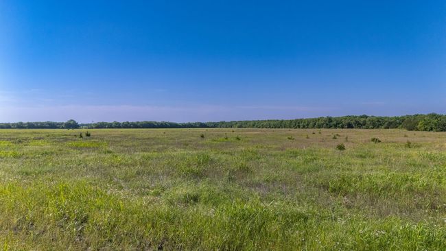 TBD 0 Cr 4911, Home with 0 bedrooms, 0 bathrooms and null parking in Ladonia TX | Image 6
