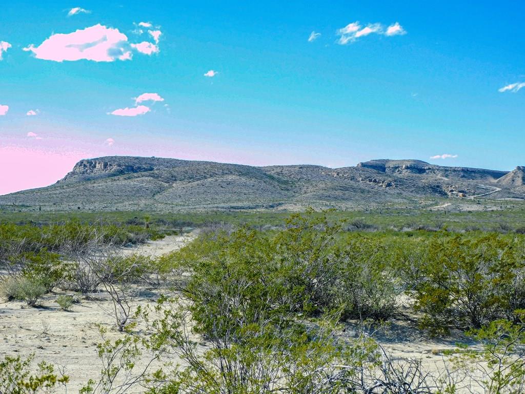 Land in Terlingua