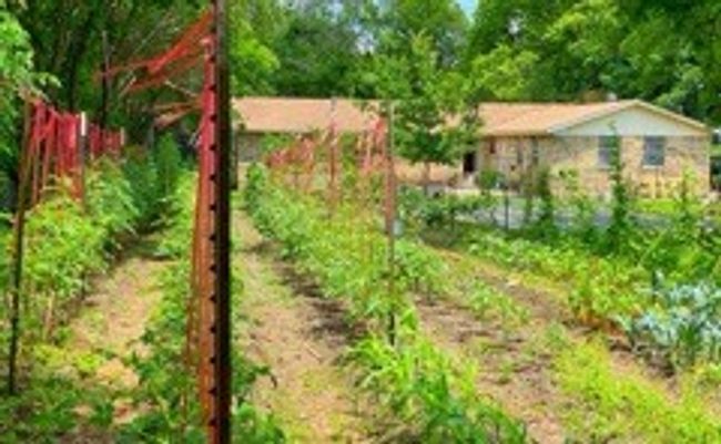 507 S 6 Th St, House other with 3 bedrooms, 2 bathrooms and null parking in Midlothian TX | Image 39