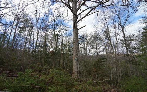 Lot 48 Laurel Brook, Blairsville, GA, 30512 | Card Image
