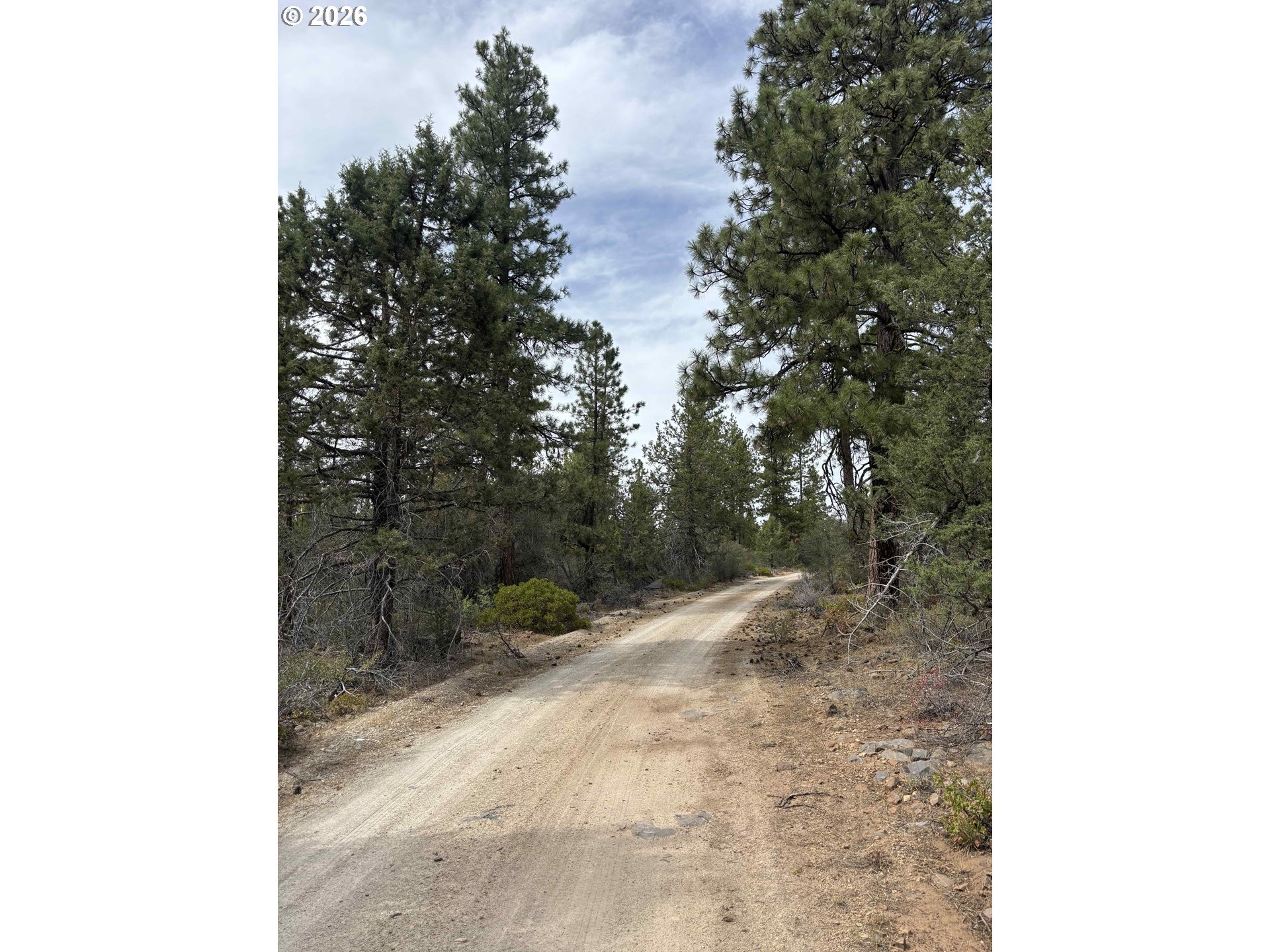 Land in Bonanza 2