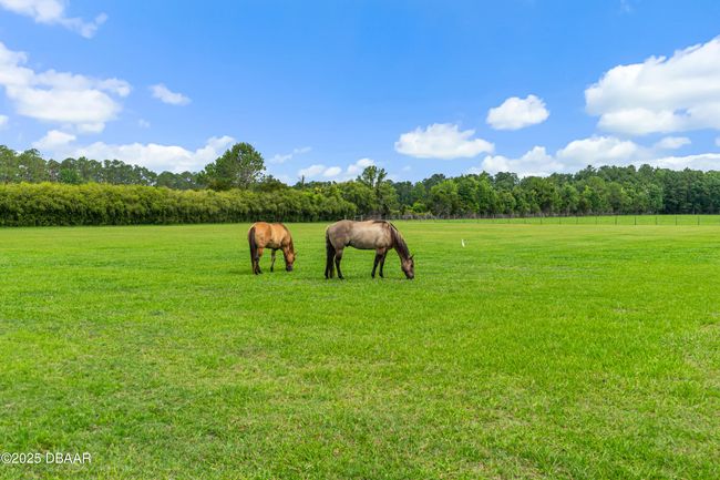 140 Little Brown Church Rd, Home with 3 bedrooms, 2 bathrooms and null parking in Pierson FL | Image 34
