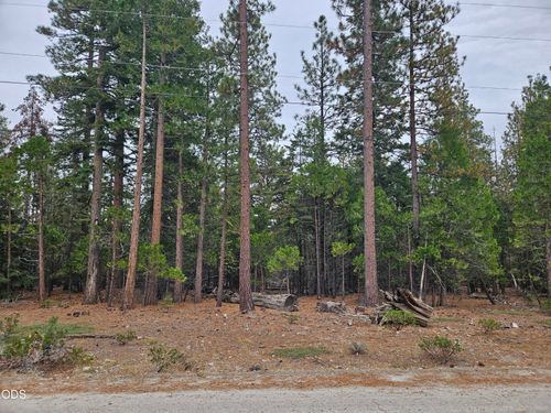 lots-33-34-35-0 Blackbird Drive, Bonanza, OR, 97623 | Card Image