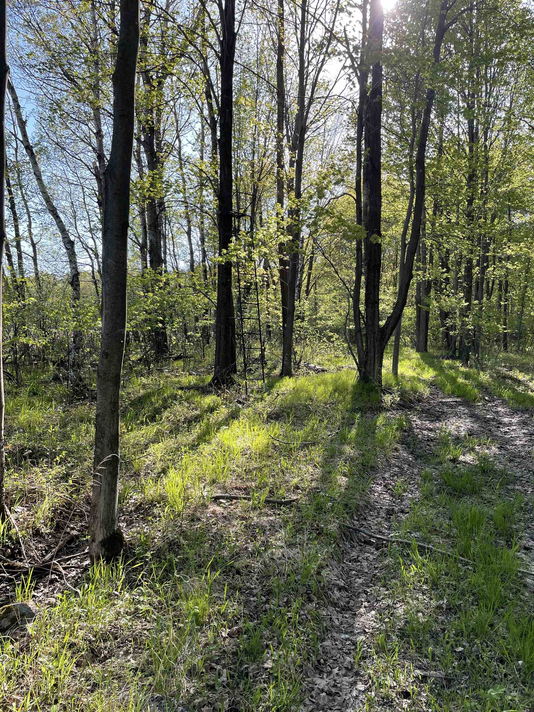 Land in AUBURN 5