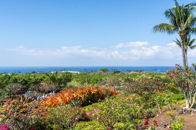 The view from the lanai looking over the tropical gardens that are part of the common area for the association. | Image 5