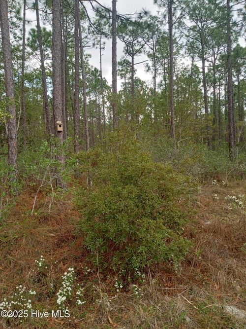 Lot 61 W South Shore Rd, Southport, NC, 28461-7766 | Card Image