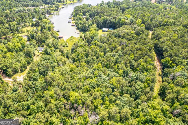 671 Pine Lake Dr, House other with 2 bedrooms, 1 bathrooms and null parking in Sparta GA | Image 67