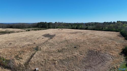 43 ACRES Columbus City Road, Grant, AL, 35747 | Card Image