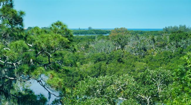 APT-501 - 409 N Point Rd, Condo with 3 bedrooms, 3 bathrooms and null parking in OSPREY FL | Image 18