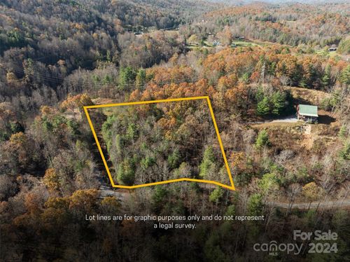 99999 Big Raven Ln, Saluda, NC, 28773 | Card Image