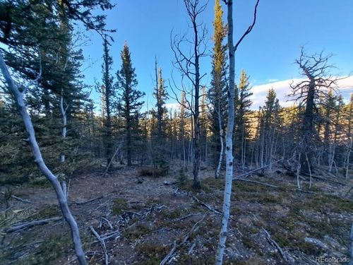 00 Haida Ln, Como, CO, 80432 | Card Image