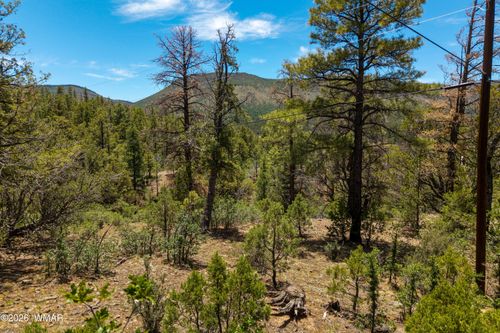 34 Cr 2279, Nutrioso, AZ, 85932 | Card Image