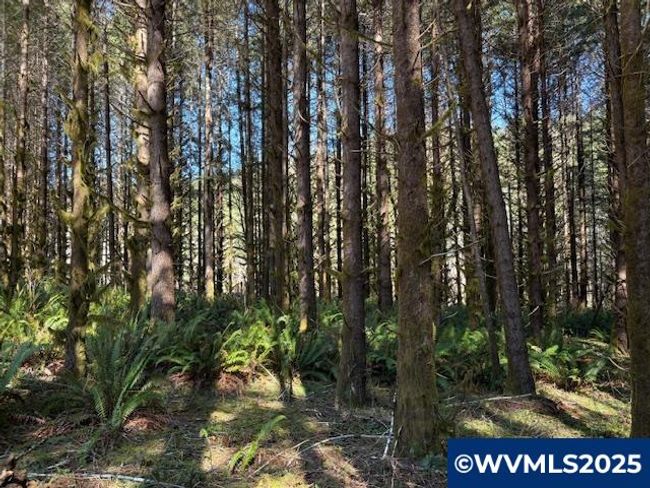 0 Logsden Rd, Home with 0 bedrooms, 0 bathrooms and null parking in Blodgett OR | Image 12