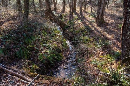 6 Morosko Ln, Pilot Mountain, NC, 27041 | Card Image