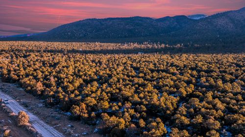 8 Echo Forest Rd, Questa, NM, 87556 | Card Image