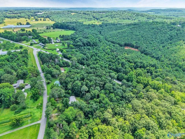 173 Brock Chapel Rd, House other with 4 bedrooms, 2 bathrooms and null parking in Union Grove AL | Image 40