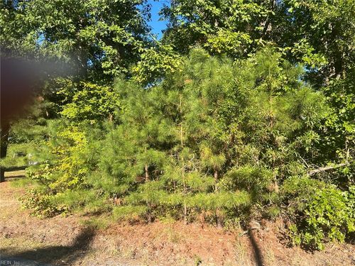 13199 Whitehead Road, Branchville, VA, 23828 | Card Image
