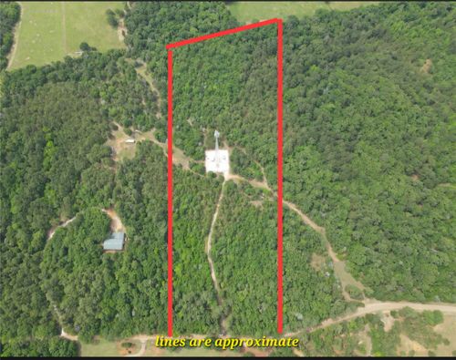 TBD 16 +/- AC Vz County Road 4814, Ben Wheeler, TX, 75754 | Card Image