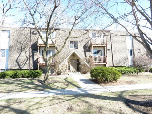 unit-3b-218 Madison St, Joliet, IL, 60435-8209 | Card Image