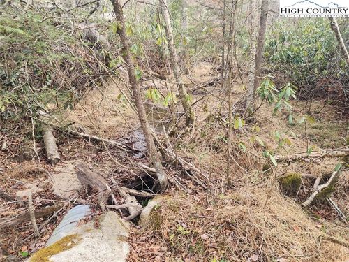 111 Willow Run, Beech Mountain, NC, 28604-8243 | Card Image