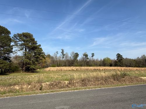 Lot 8 County Road 318, Dawson, AL, 35963 | Card Image
