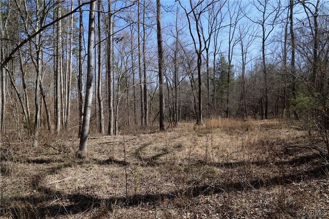 0 Golf Course Rd, Home with 0 bedrooms, 0 bathrooms and null parking in Halifax VA | Image 29