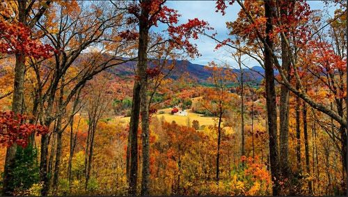 20 Fly Cast Overlook, Hayesville, NC, 28904 | Card Image