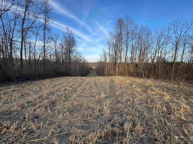 3924 Sassafras Rd, House other with 3 bedrooms, 2 bathrooms and null parking in Freedom IN | Image 28