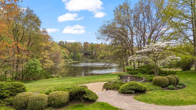 Pond 2 | Image 52