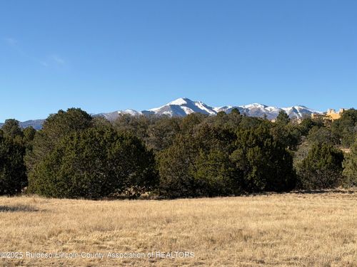 102 Tiwa Trl, Alto, NM, 88312 | Card Image