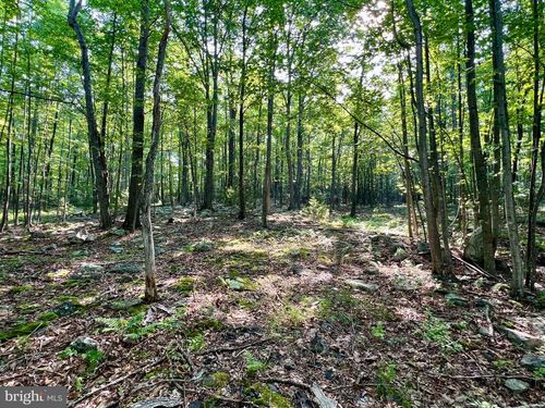 Lot 5 Flintstone Creek Rd, Clearville, PA, 15535 | Card Image