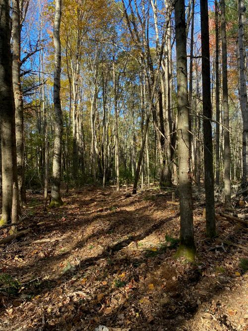 TBD Log Cabin Road, Kennebunkport, ME, 04046 | Card Image