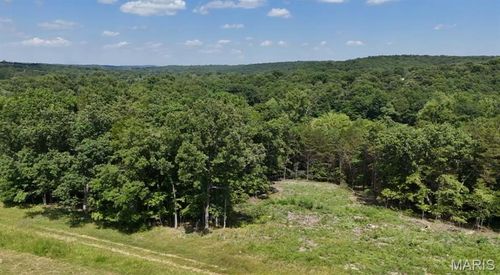 8 Tanglewood Acres, Festus, MO, 63028 | Card Image