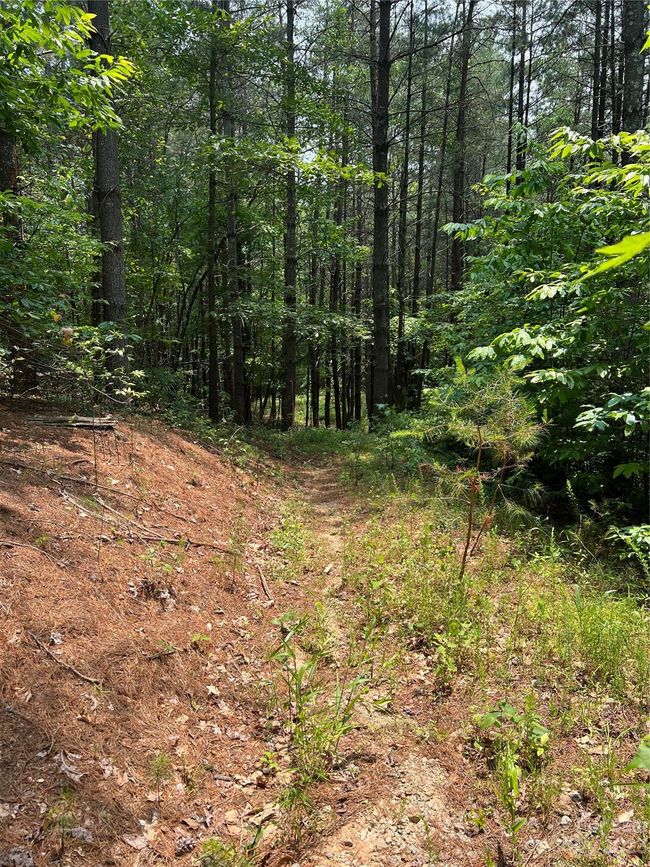 29 - 9589 Shortoff View Ter, Home with 0 bedrooms, 0 bathrooms and null parking in Nebo NC | Image 17