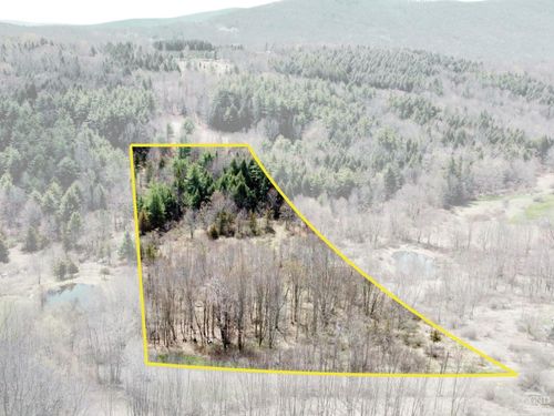 0 Charles Dent Rd, Grand Gorge, NY, 12434 | Card Image