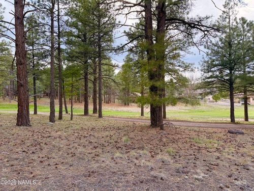 1128 S Torrey Pines Drive, Williams, AZ, 86046 | Card Image