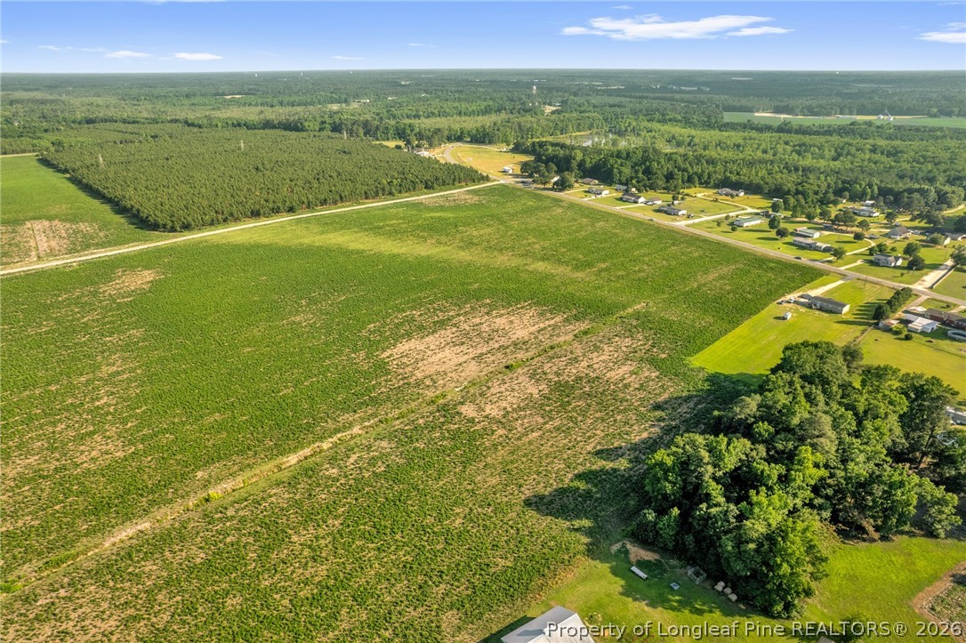 Land in Red Springs 5
