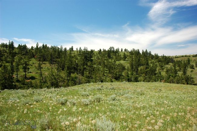 SC-25 - TBD Lone Rock Canyon Lane, Home with 0 bedrooms, 0 bathrooms and null parking in Hysham MT | Image 21