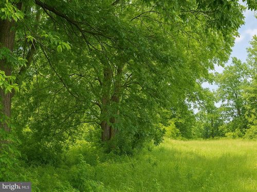 36645 Woodbush Dr, BUSHWOOD, MD, 20618-2140 | Card Image