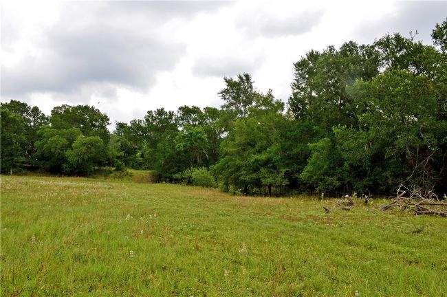 View of yard | Image 31