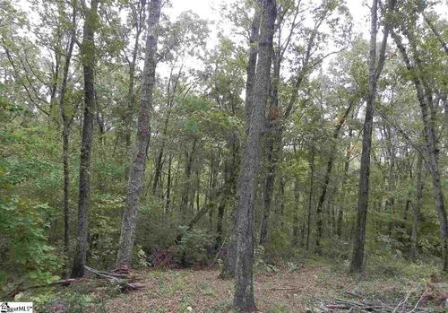 27 Northslope View Dr, Landrum, SC, 29356-3007 | Card Image