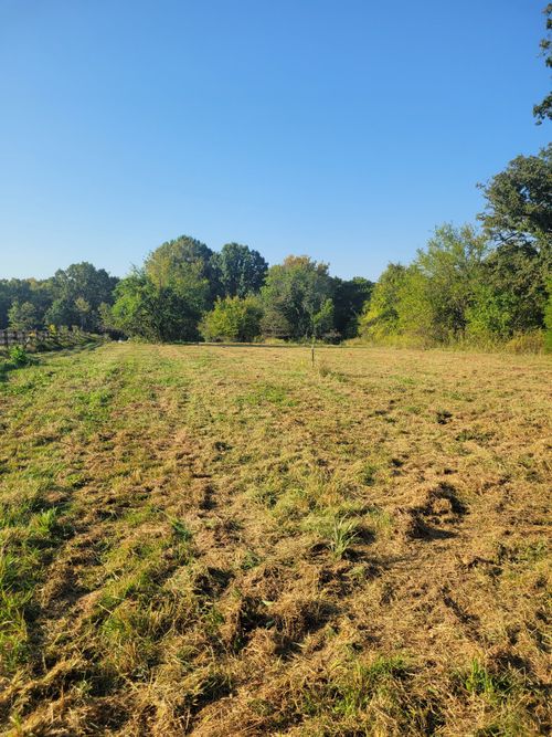 8 Double Branch Rd, Columbia, TN, 38401 | Card Image