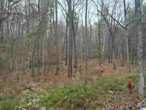 lot-3-605 Pine Mountain Trl, CHELSEA, AL, 35043-8255 | Card Image