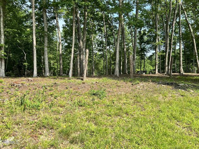 12615 Star Branch Rd, House other with 3 bedrooms, 2 bathrooms and null parking in Coeburn VA | Image 29