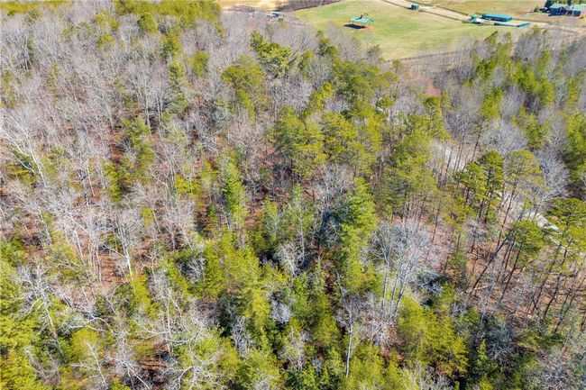 00 Academy Rd, Home with 0 bedrooms, 0 bathrooms and null parking in Mountain Rest SC | Image 19