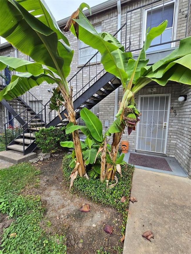 APT-607 - 9797 Leawood Blvd, Townhouse with 2 bedrooms, 2 bathrooms and null parking in Houston TX | Image 25