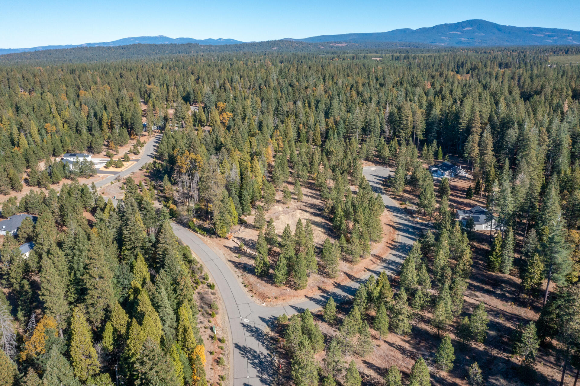 Land in Shingletown 5