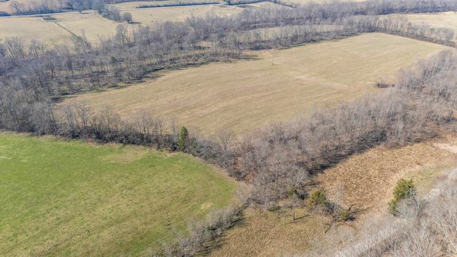 4 Old Weatherford Creek Rd, Home with 0 bedrooms, 0 bathrooms and null parking in Lutts TN | Image 8