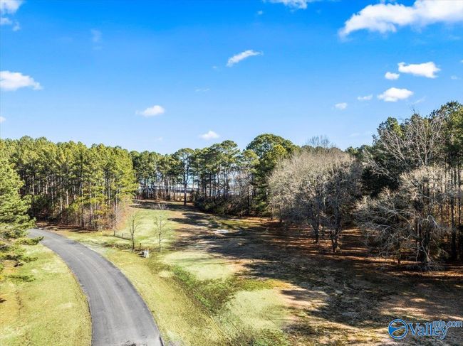 331 John Cabaniss Rd, Home with 0 bedrooms, 0 bathrooms and null parking in Langston AL | Image 12